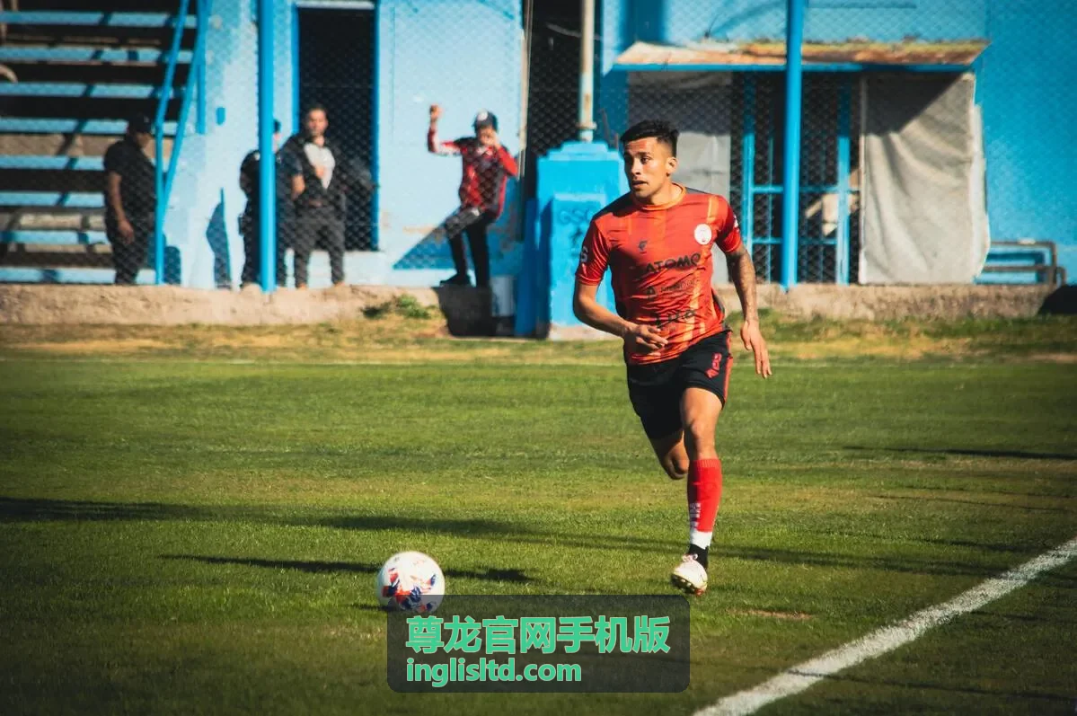 尊龙官网手机版手机端观看流程示意图
